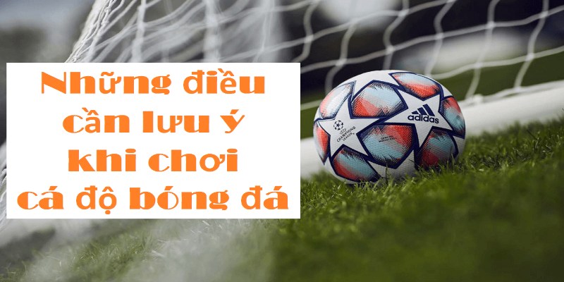 Một số lưu ý quan trọng cho game thủ đặt cược bóng đá